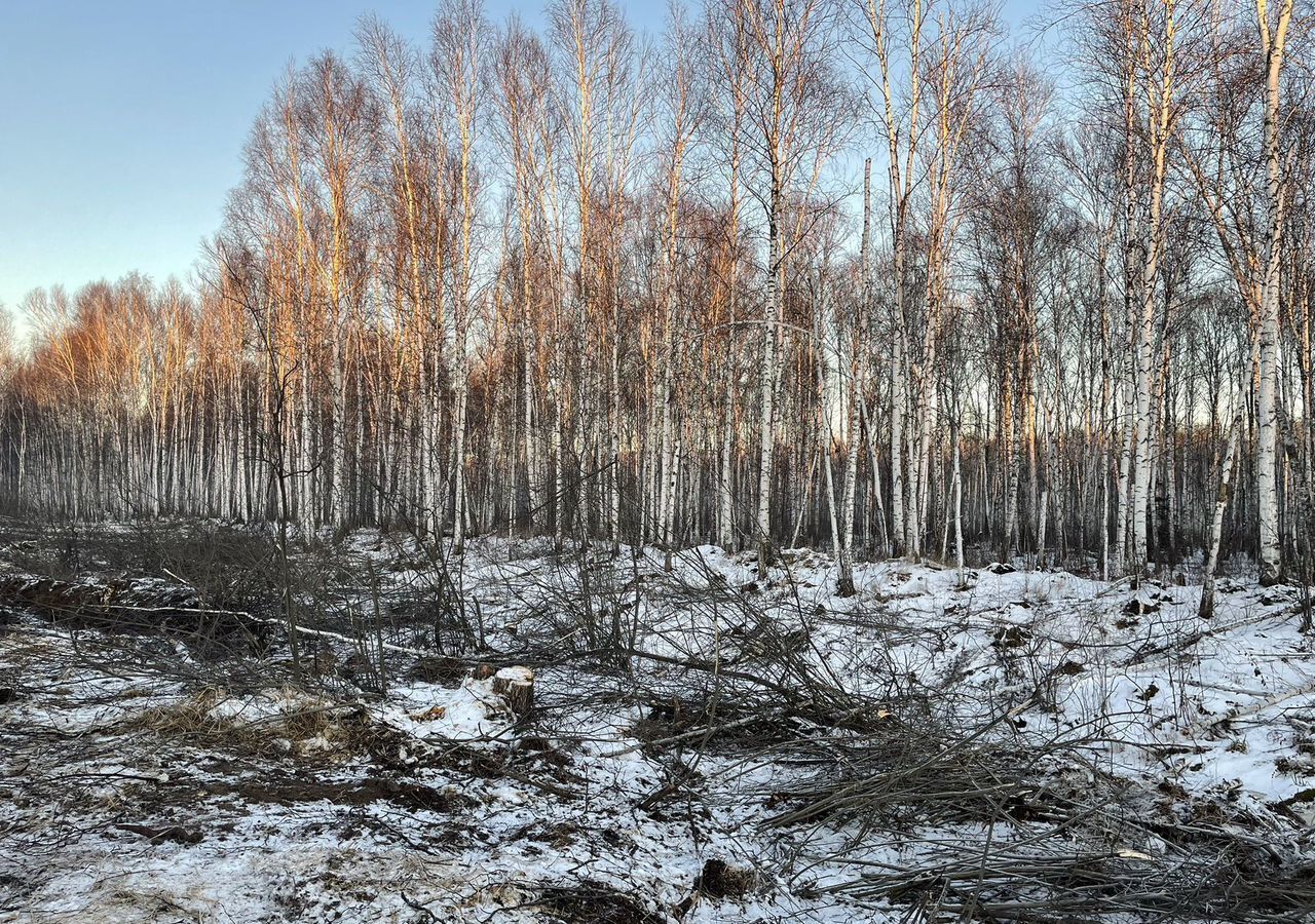 земля р-н Нижнетавдинский снт Здоровье-2 Тюмень фото 3