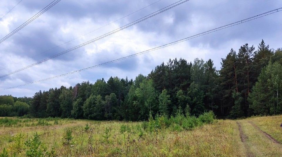 земля р-н Белгородский с Головино снт Феддеровское с пос, ДНТ, Головинское фото 1