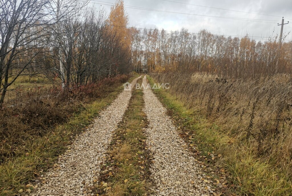 земля р-н Суздальский с Новоалександрово Новоалександровское сельское поселение фото 1