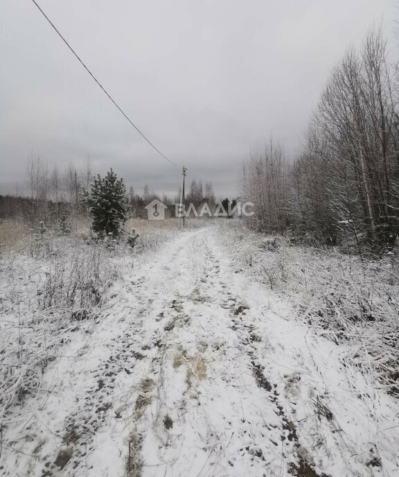 земля р-н Суздальский с Новоалександрово Новоалександровское сельское поселение фото 15