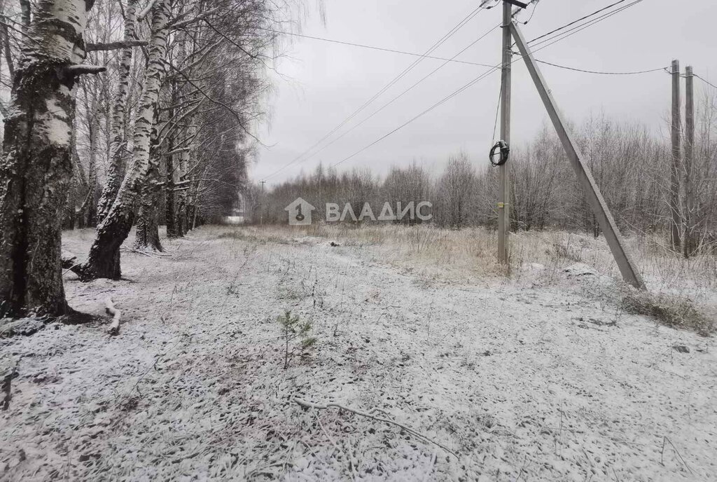 земля р-н Суздальский с Новоалександрово Новоалександровское сельское поселение фото 22