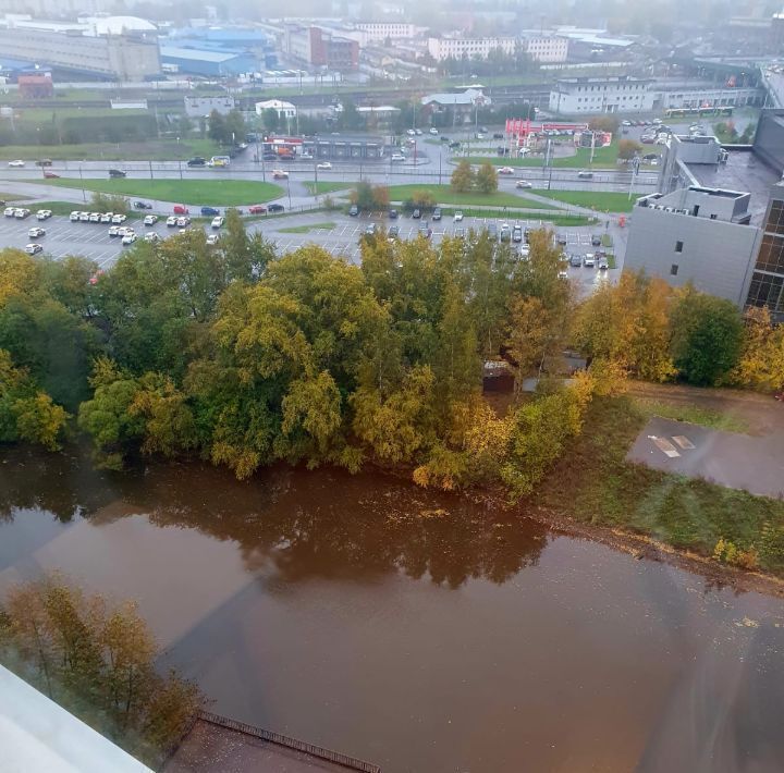 квартира г Санкт-Петербург метро Ладожская пр-кт Энергетиков 9к/3 фото 14