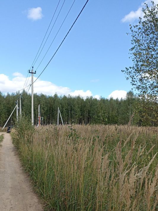 земля городской округ Талдомский Кошелево тер фото 4