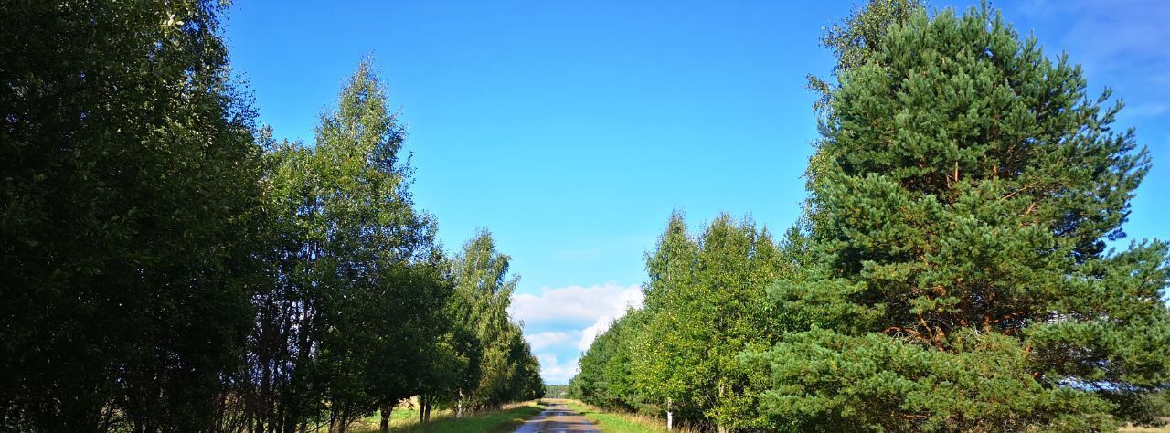 земля р-н Конаковский д Городище Вахонинское сельское поселение фото 5