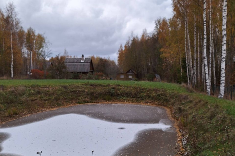 земля р-н Кингисеппский деревня Заозерье фото 2