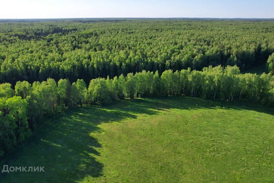 земля городской округ Пушкинский Коттеджный посёлок Михалево Парк, Москва фото 2