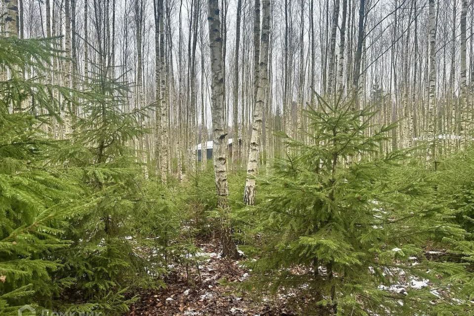 земля городской округ Ступино д Шелково Коттеджный посёлок Shelkovo Forest фото 1