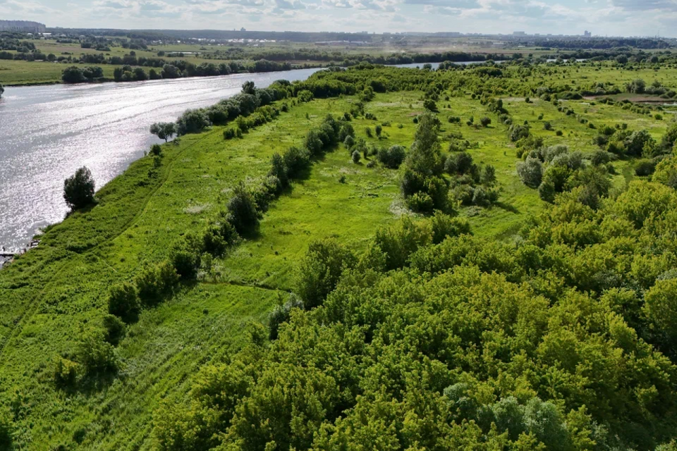 земля г Лыткарино Лыткарино городской округ, 1-й м-н фото 1