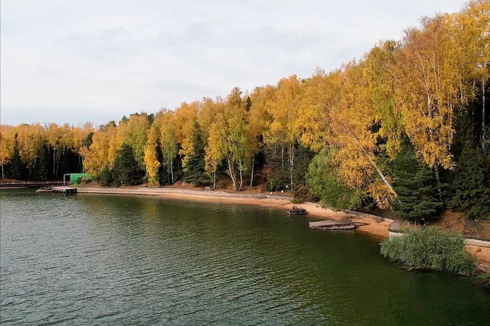 дом городской округ Солнечногорск д Лопотово 40 фото 4