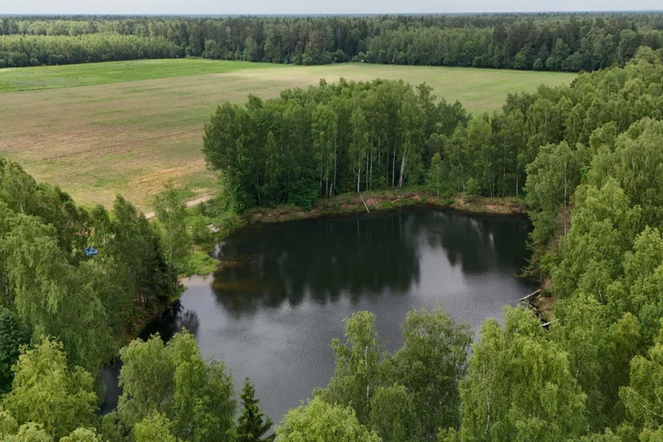 земля Черноголовка городской округ, деревня Старки фото 3