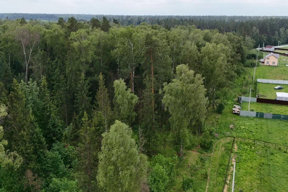 земля городской округ Щёлково д Мишнево ул Кооперативная 44 фото 4