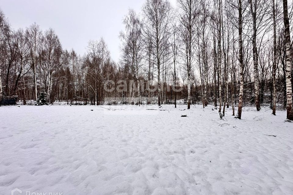 земля г Раменское снт Пион 4, Дмитровский городской округ фото 4