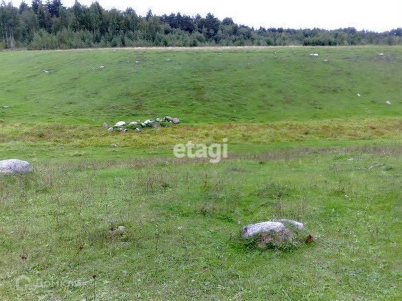 земля р-н Гатчинский д Тарасино 22 фото 3