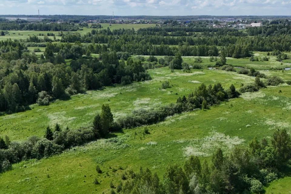 земля городской округ Солнечногорск д. Болкашино фото 4