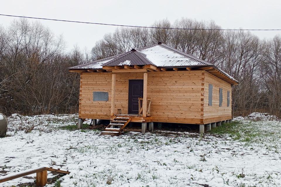 дом городской округ Серебряные Пруды д. Дмитриевка фото 4