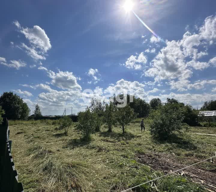 земля р-н Гатчинский д. Шаглино фото 1