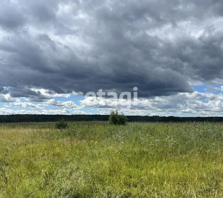 земля р-н Приозерский пос. Ромашки фото 3