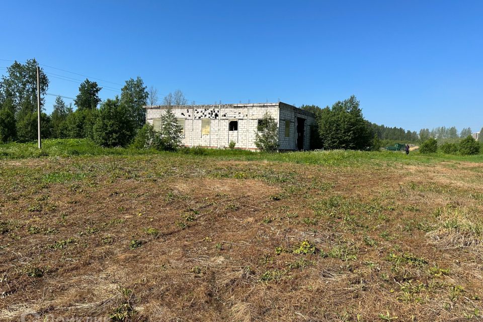 земля р-н Всеволожский Агалатовское сельское поселение фото 6