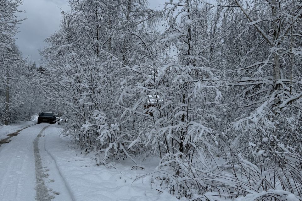 земля городской округ Истра д. Дубровское фото 5