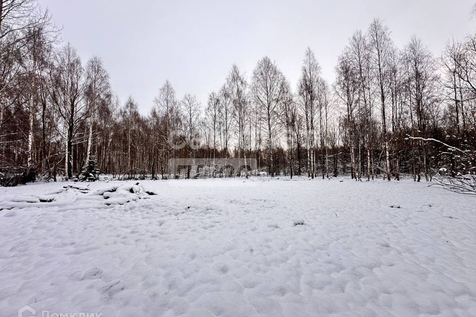 земля г Раменское снт Пион 4, Дмитровский городской округ фото 5