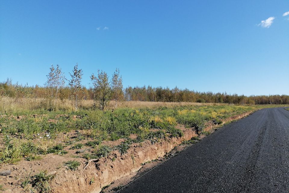 земля городской округ Раменский д. Бритово фото 9