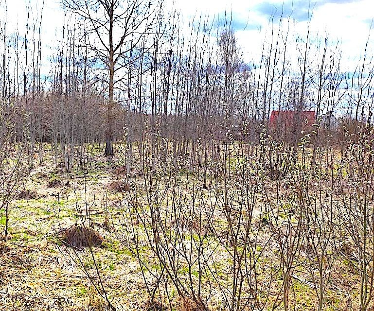 земля городской округ Дмитровский садовое товарищество Хлебопёк, 7 фото 9