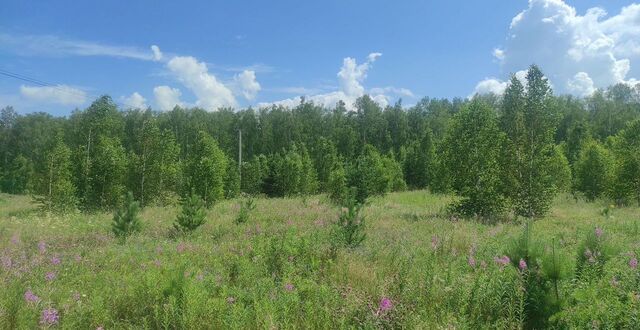 Кременкульское сельское поселение, мкр-н Ясное Небо, Челябинск фото