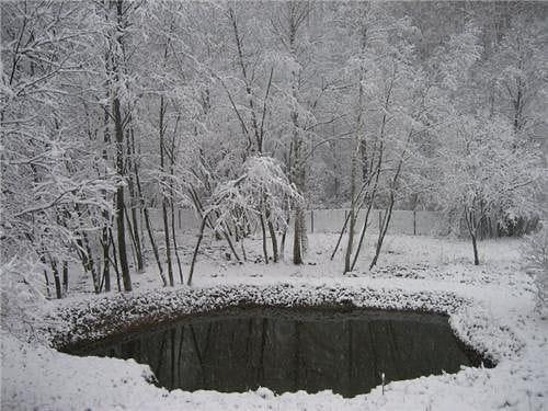 земля р-н Жуковский д Никольские хутора фото 5