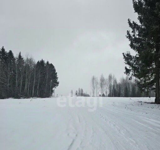 земля д Залесная фото