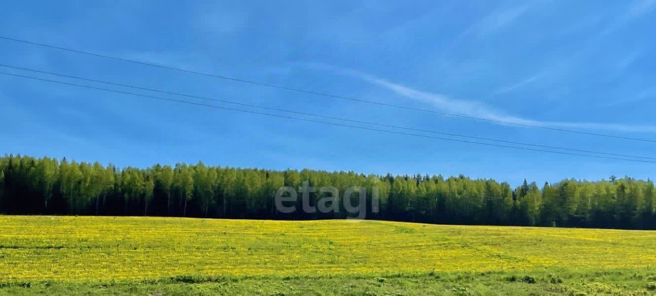 земля р-н Нытвенский с Шерья фото 5