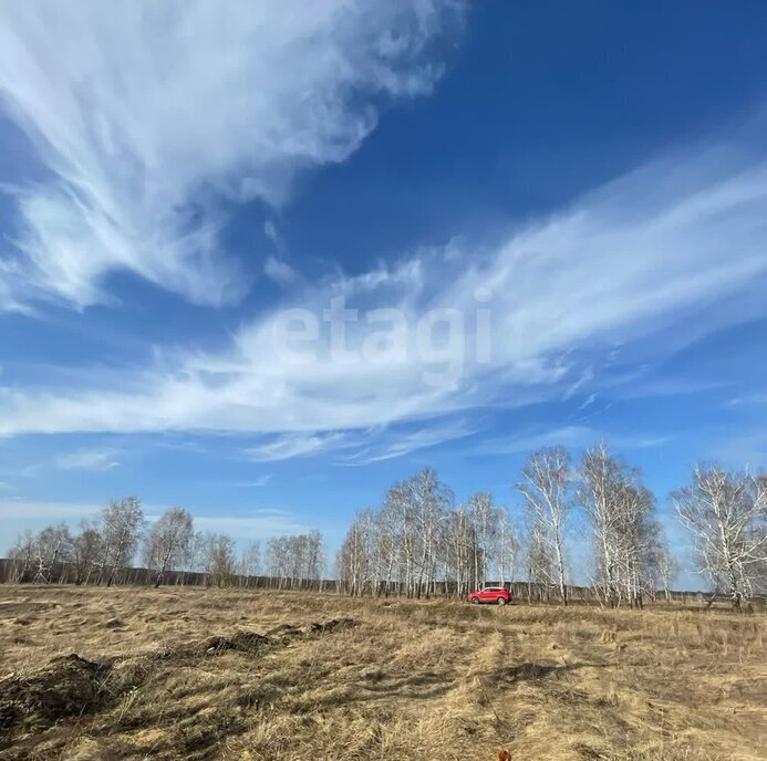 земля р-н Рамонский снт Лесная поляна Айдаровское сельское поселение фото 1