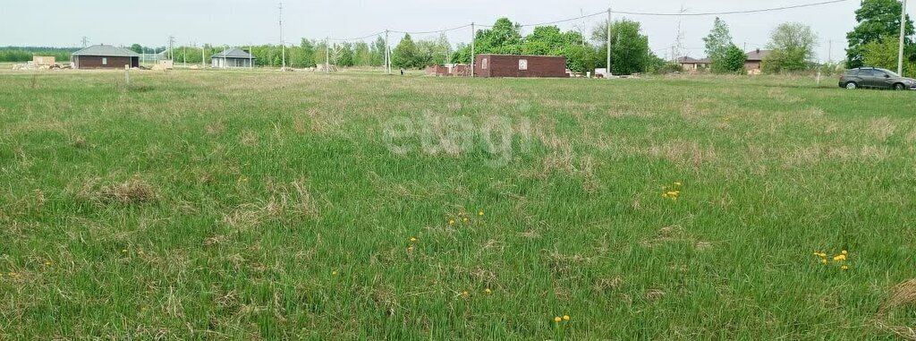 земля р-н Рамонский снт Лесная поляна Айдаровское сельское поселение фото 3