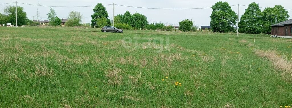 земля р-н Рамонский снт Лесная поляна Айдаровское сельское поселение фото 2