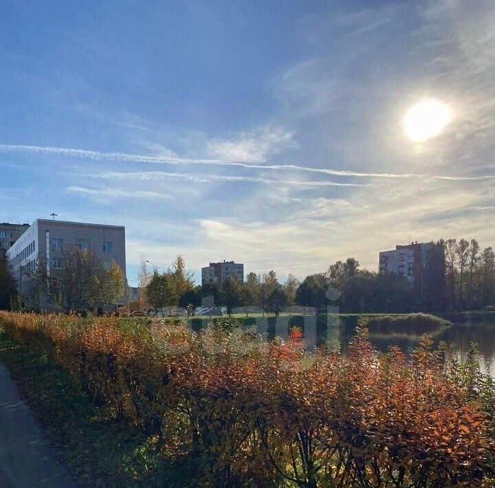 квартира г Санкт-Петербург метро Проспект Ветеранов ул Танкиста Хрустицкого 4 округ Дачное фото 26