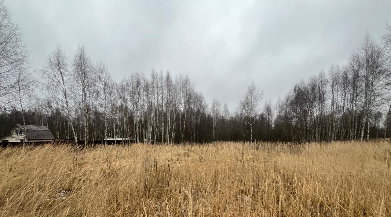 земля городской округ Орехово-Зуевский д Запутное фото 1