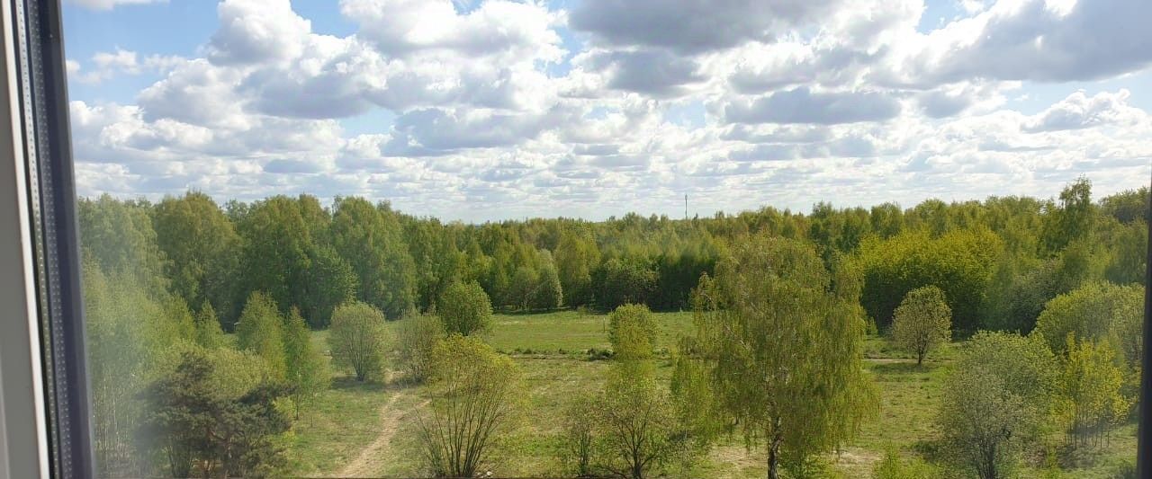 квартира городской округ Ленинский д Мисайлово ул Луговая 2 ЖК «Пригород Лесное» Домодедовская фото 14