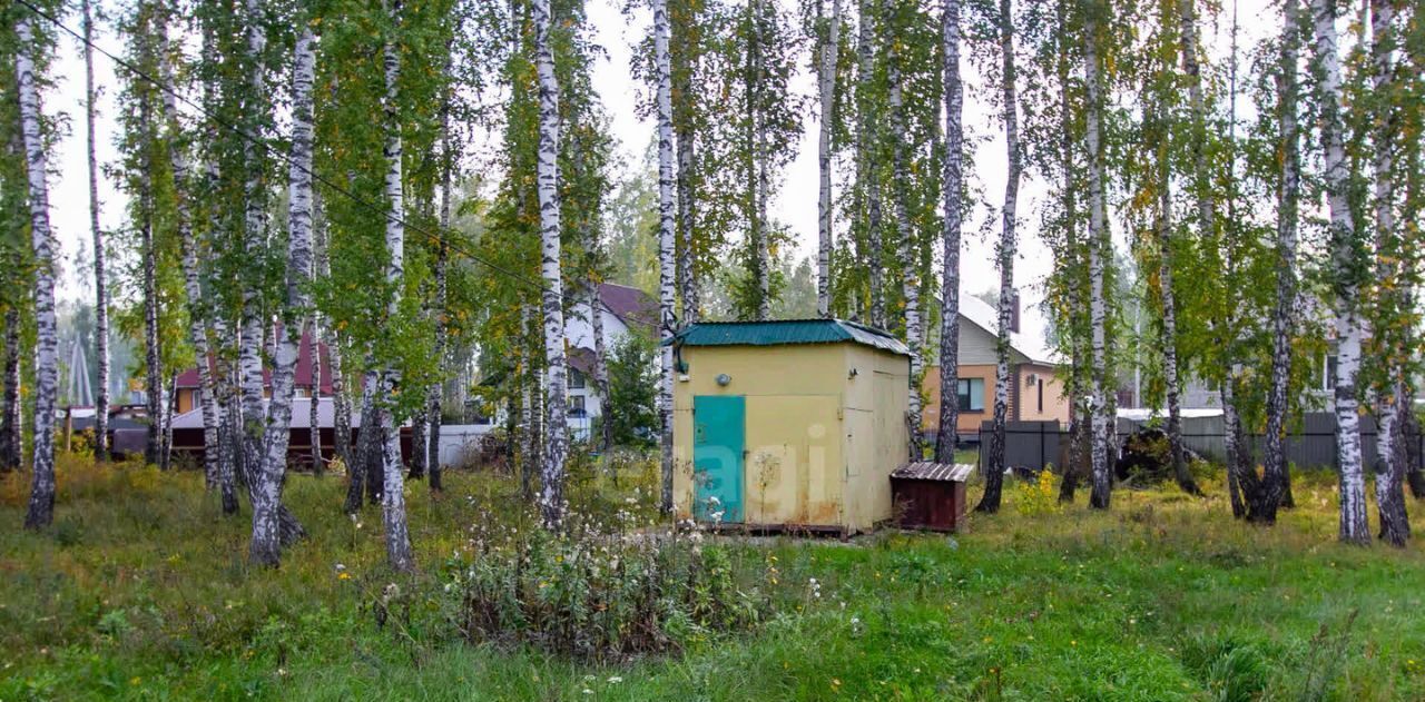 земля р-н Новосибирский с Марусино Криводановский сельсовет, ул. Ясная, 11 фото 14