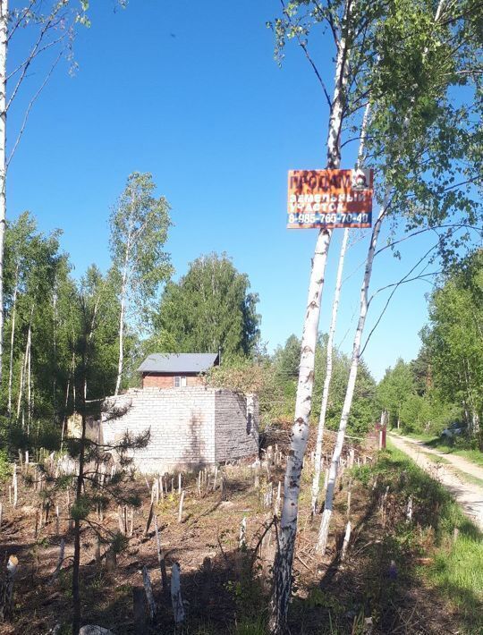 земля р-н Рязанский Мурминское с/пос, садоводческое товарищество, 151, Ранет фото 5