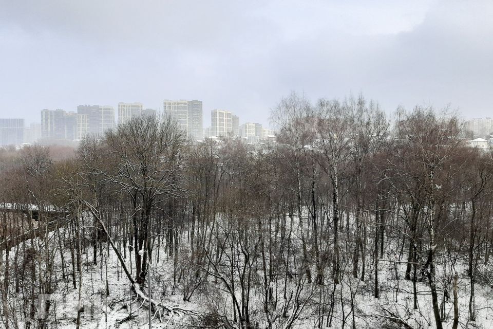 квартира г Москва ул Муравская 38б/3 Северо-Западный административный округ фото 7