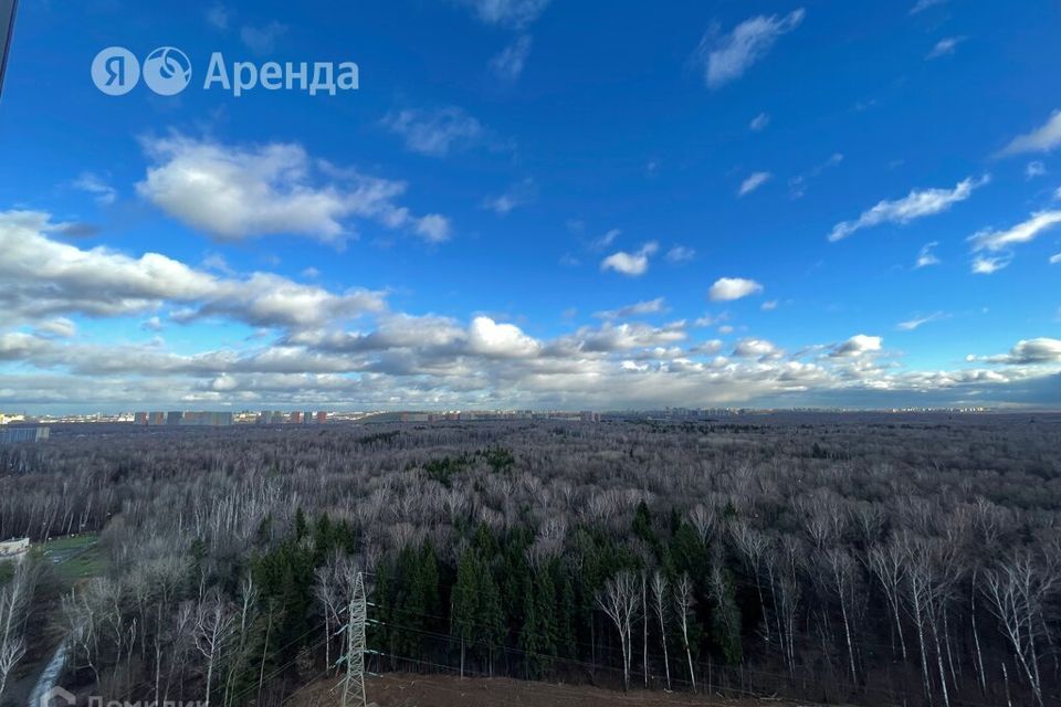 квартира г Москва п Московский Новомосковский административный округ, улица Никитина, 11 к 11 фото 7