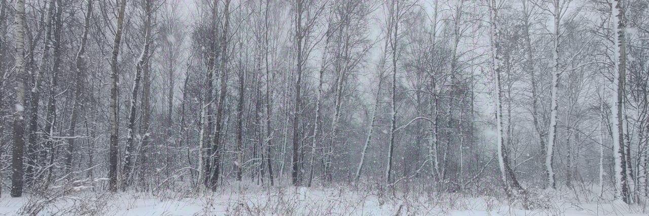 офис городской округ Солнечногорск д Вертлино фото 1