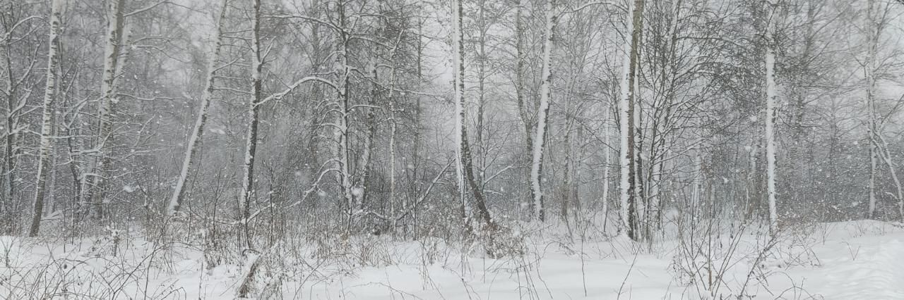 офис городской округ Солнечногорск д Вертлино фото 2