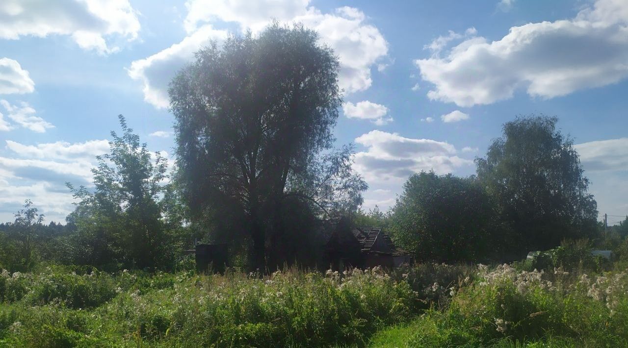 офис городской округ Мытищи д Ларево ул Огородная фото 2