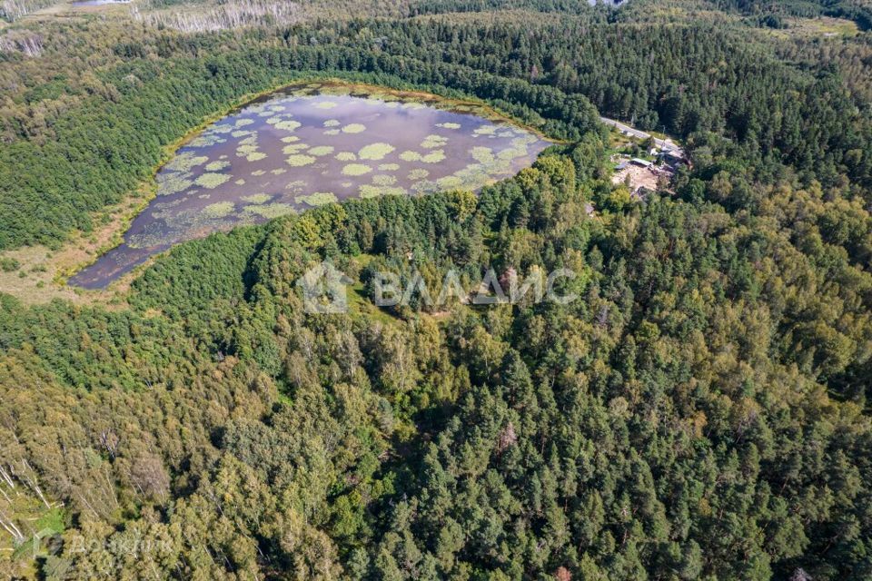 земля городской округ Павловский Посад д Кузнецы ул Новая фото 5