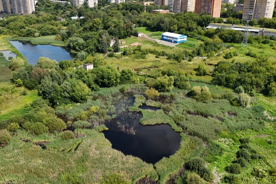 земля г Лыткарино Лыткарино городской округ, 1-й м-н фото 7