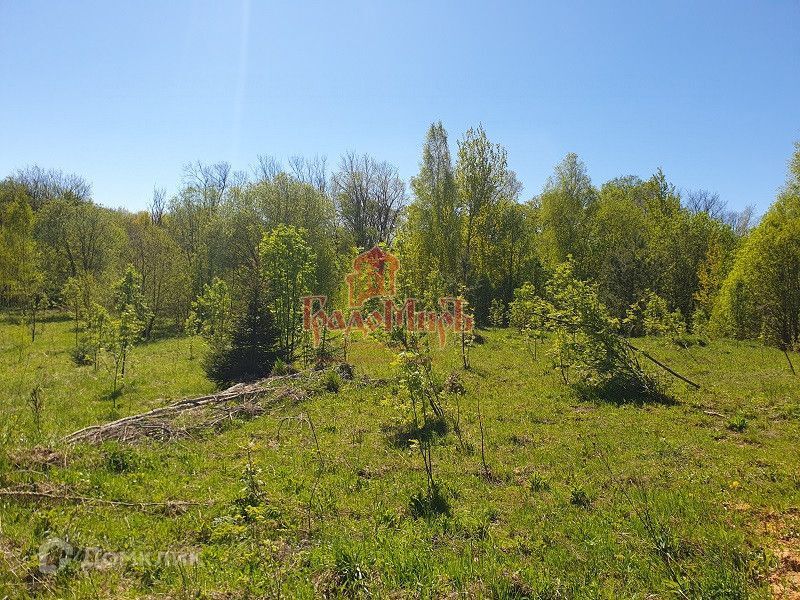 земля городской округ Дмитровский с. Храброво фото 2