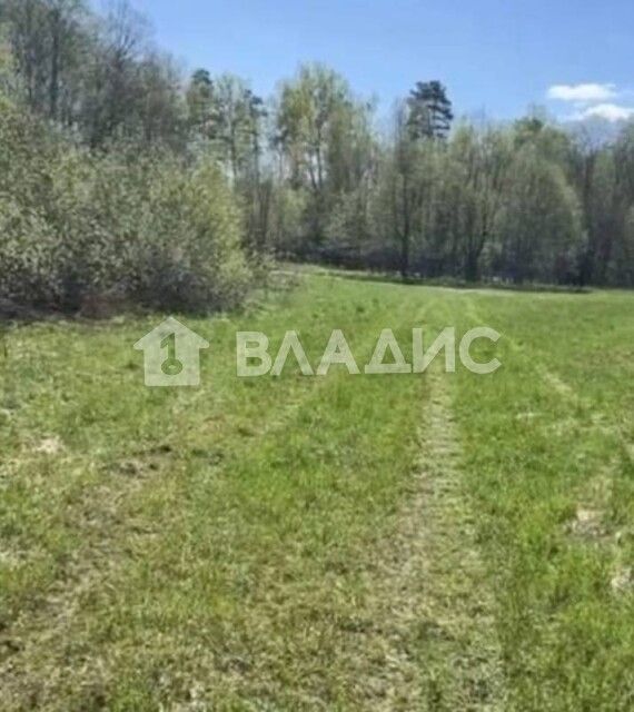 земля городской округ Раменский д. Тяжино фото 1