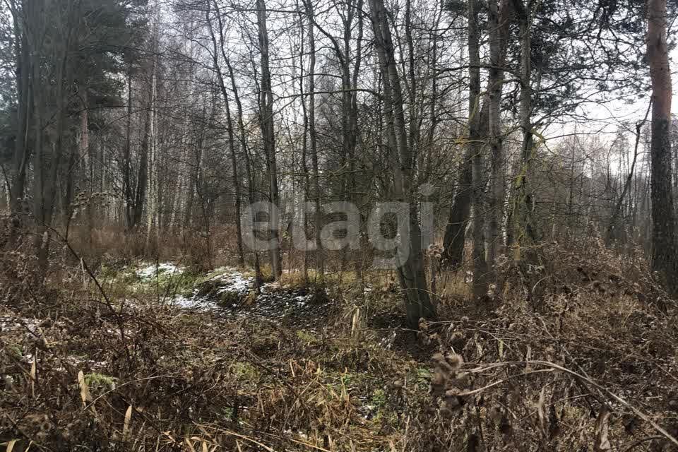 дом г Орехово-Зуево пл Октябрьская Орехово-Зуевский городской округ фото 2