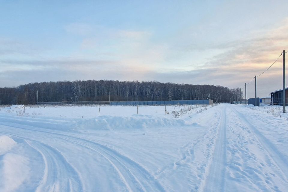 земля городской округ Домодедово д. Гальчино фото 5