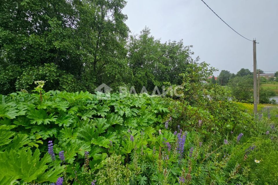 земля городской округ Клин д. Мисирёво фото 3